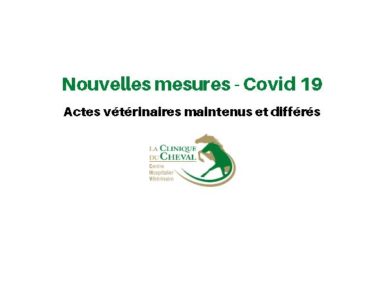 Accueil