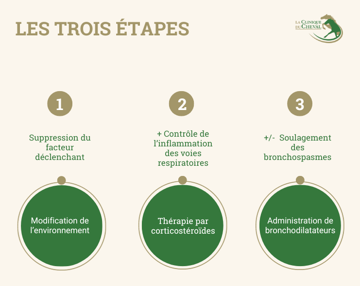 Les trois étapes du traitement de l'asthme équin