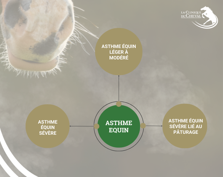 Définition de l'asthme equin