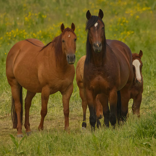 Dallas Penner chez Unsplash