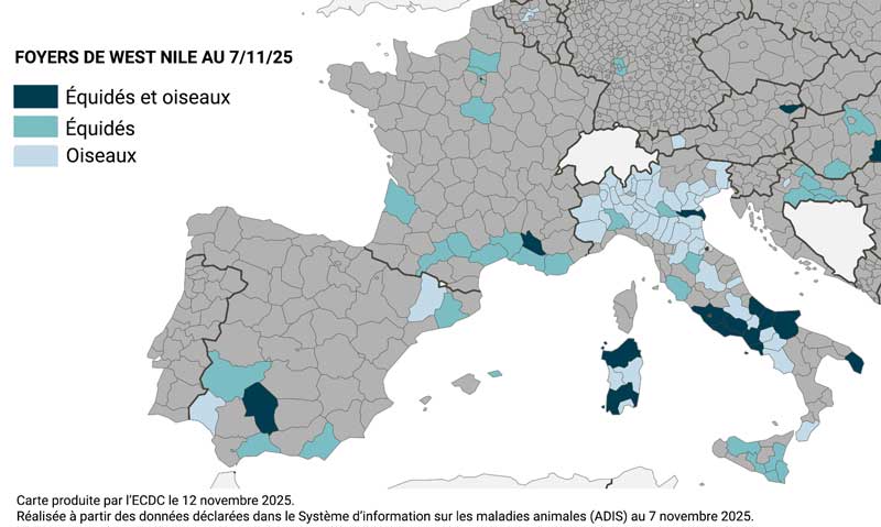Foyers West Nile au 11/2025
